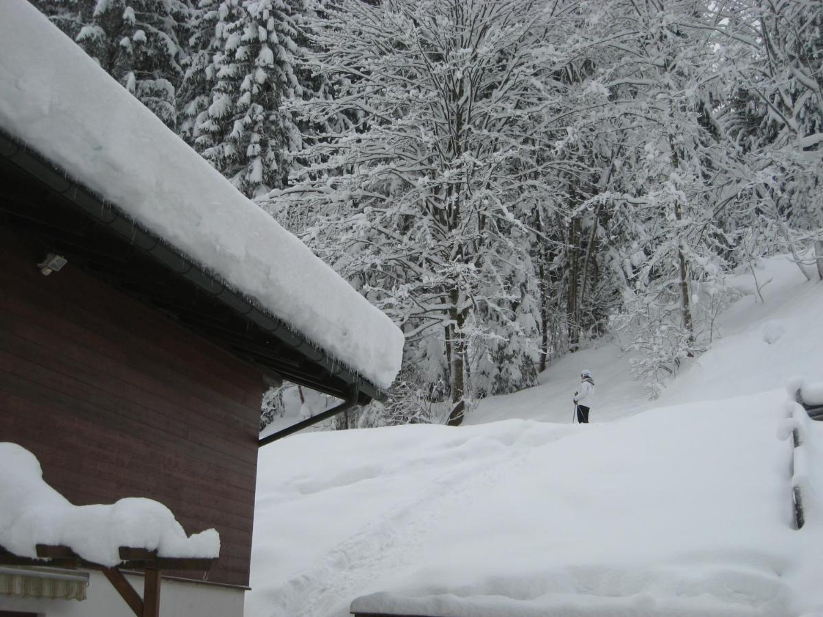 Ski-In Ski-Out Chalet Kriekels - By Alpen Apartments Zell am See Zewnętrze zdjęcie